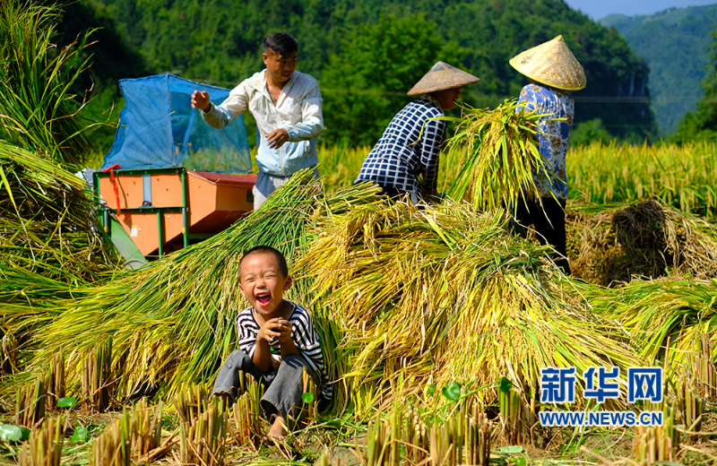 盐碱地改良田块