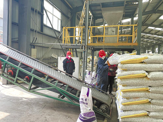 盐碱地改良现场