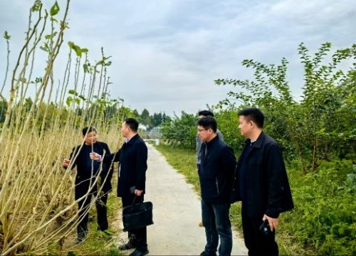 研发中心实验室