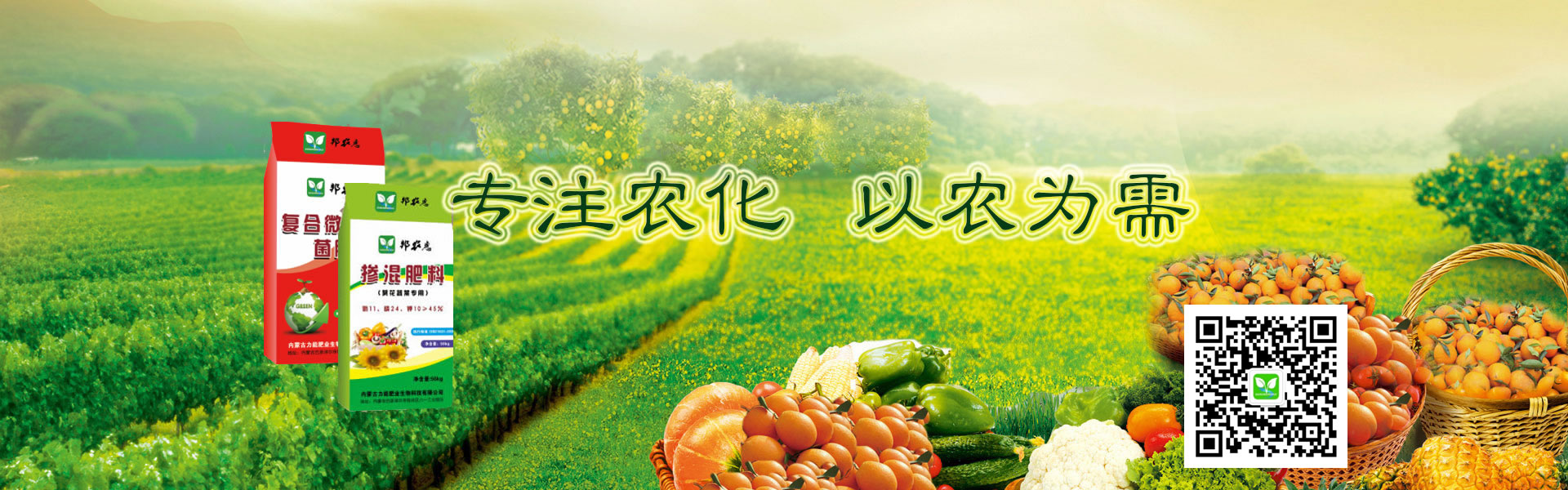 施用前玉米长势