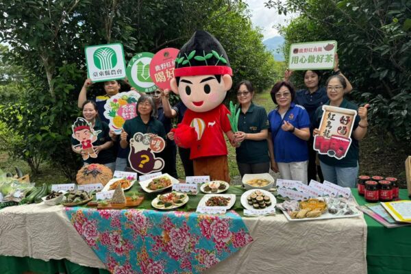 施用前小麦根系